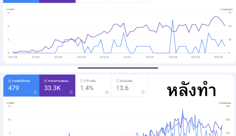 SEO รายเดือน worldwcc.co.th